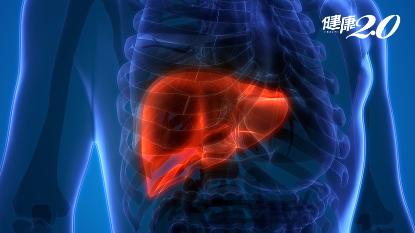 別以為無症狀就沒事！這類人輕忽恐罹患肝癌 4種高風險族群要小心