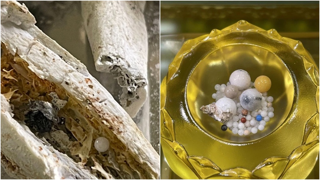 Search result thumbnail