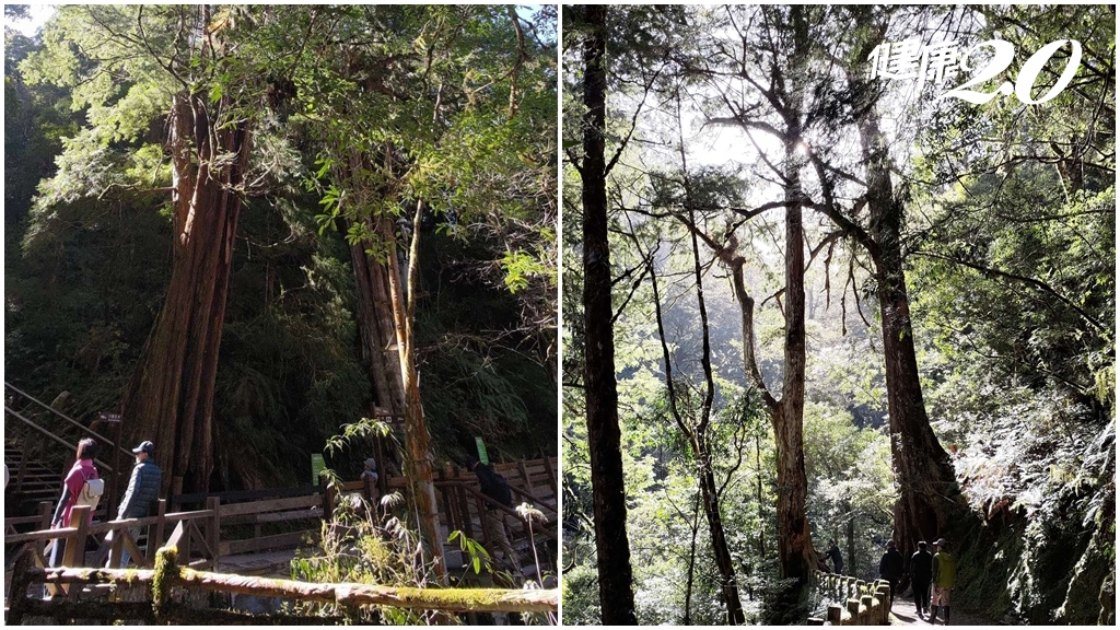 Search result thumbnail