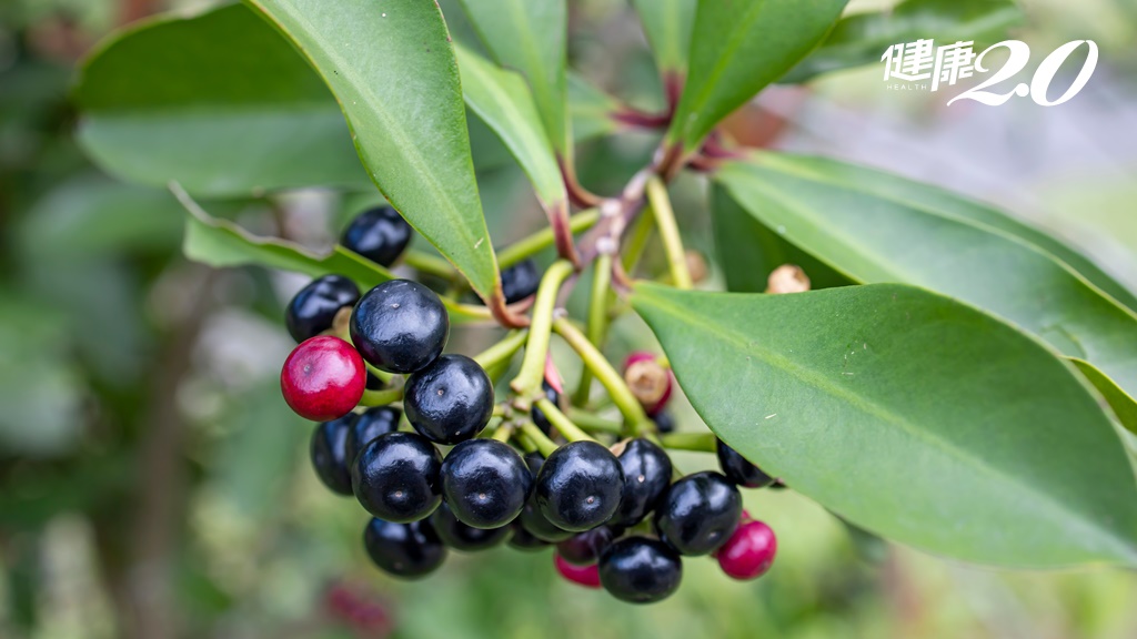 Search result thumbnail