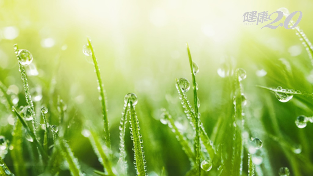 Search result thumbnail